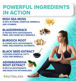 NUTRALAVA Sea Moss Capsules ingredients list close-up