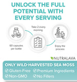 NUTRALAVA Sea Moss Capsules with a glass of water