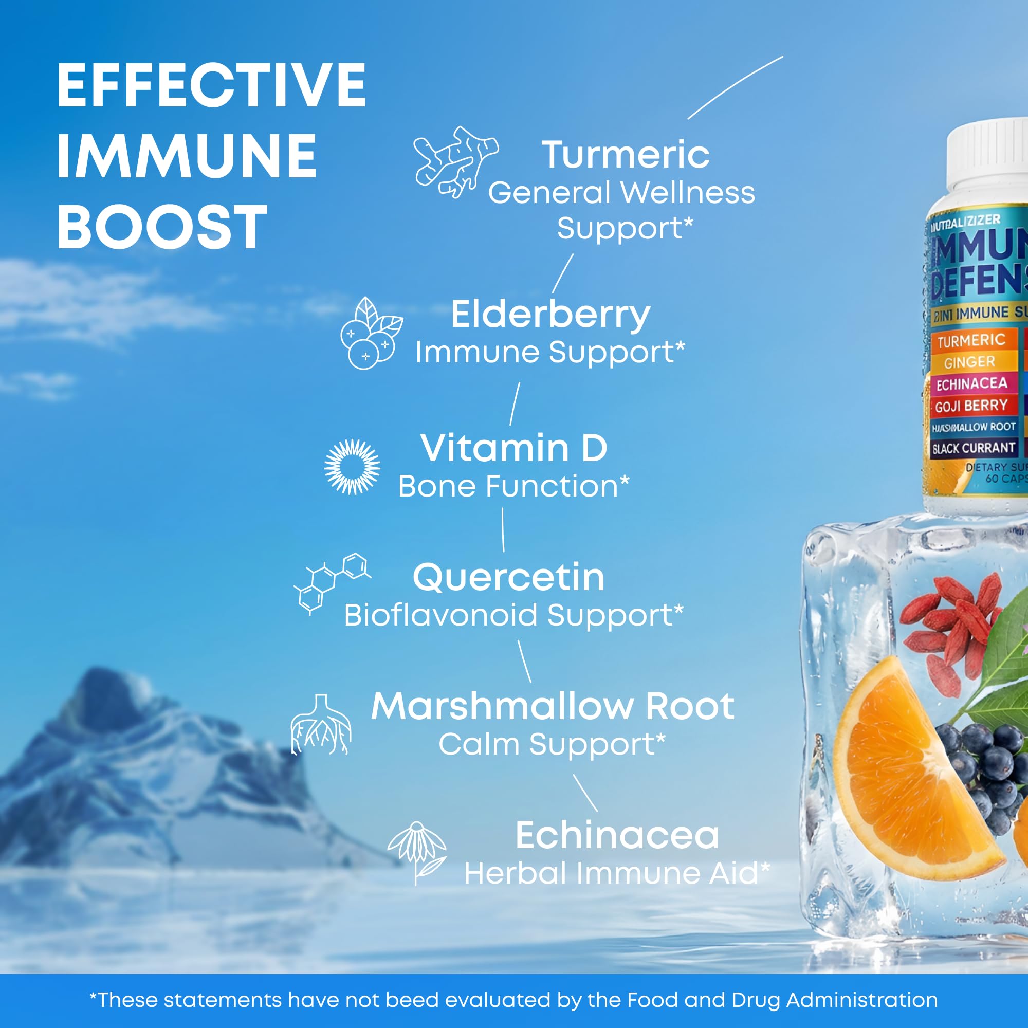 NUTRALIZIZER daily wellness Support Supplement ingredients list