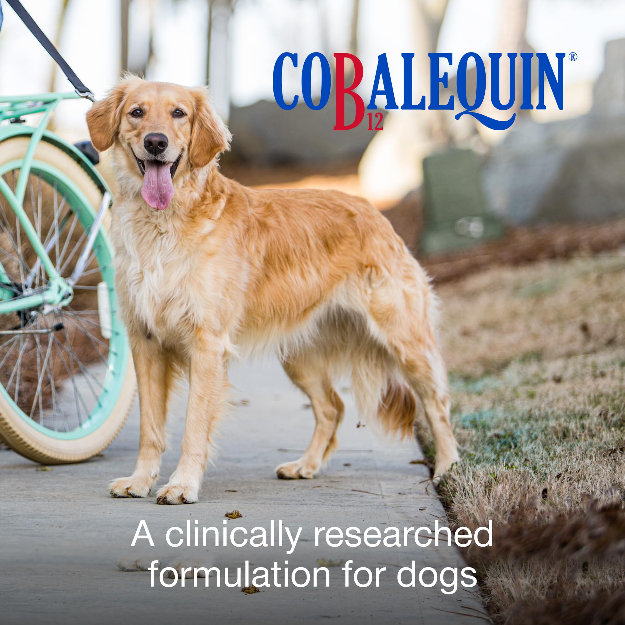 Nutramax Cobalequin B12 Supplement for Dogs packaging