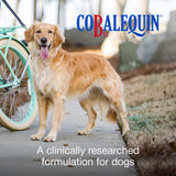 Nutramax Cobalequin B12 Supplement for Dogs packaging