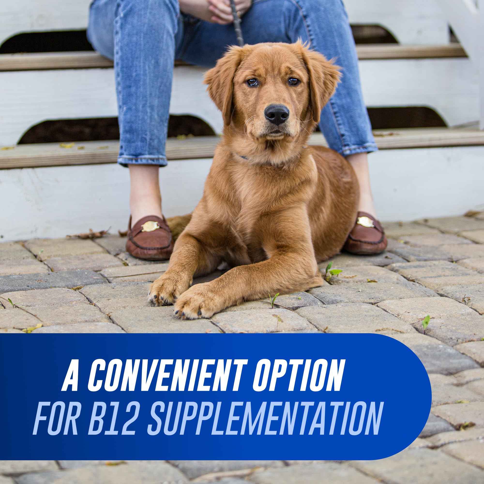Nutramax Cobalequin B12 Supplement for Dogs tablet close-up