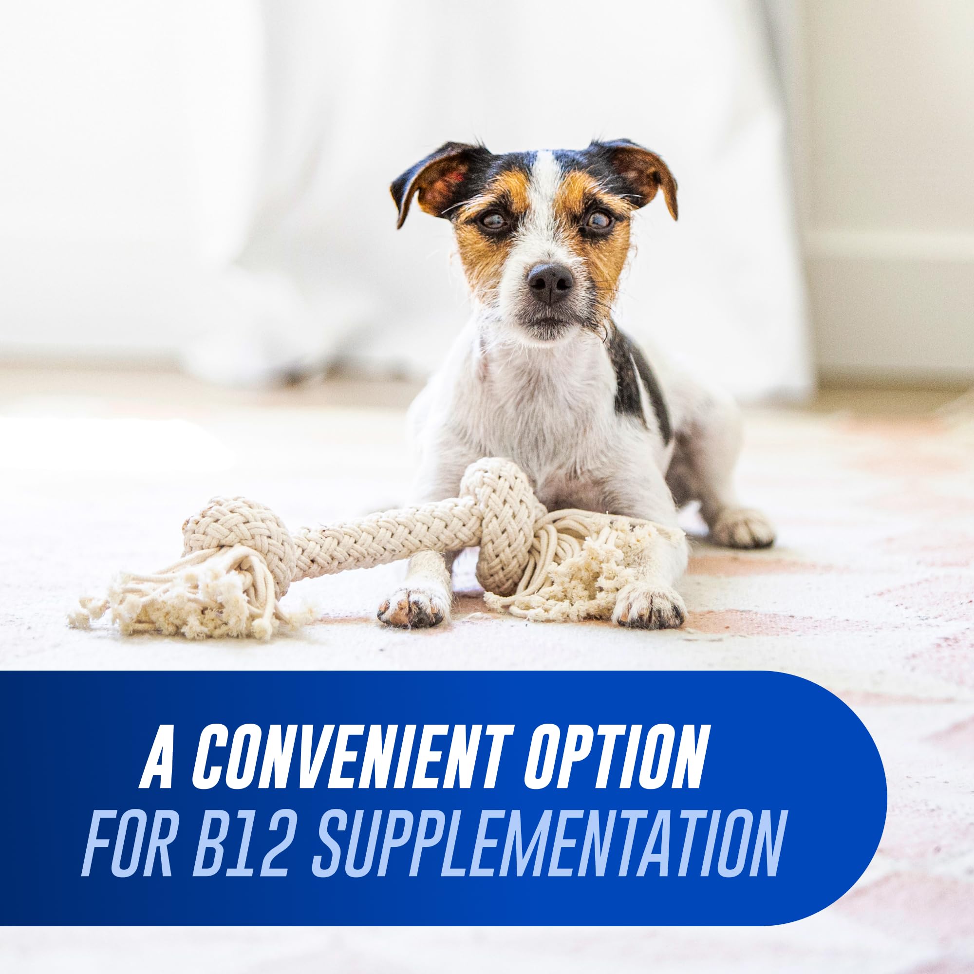 Nutramax Cobalequin B12 Supplement ingredients list