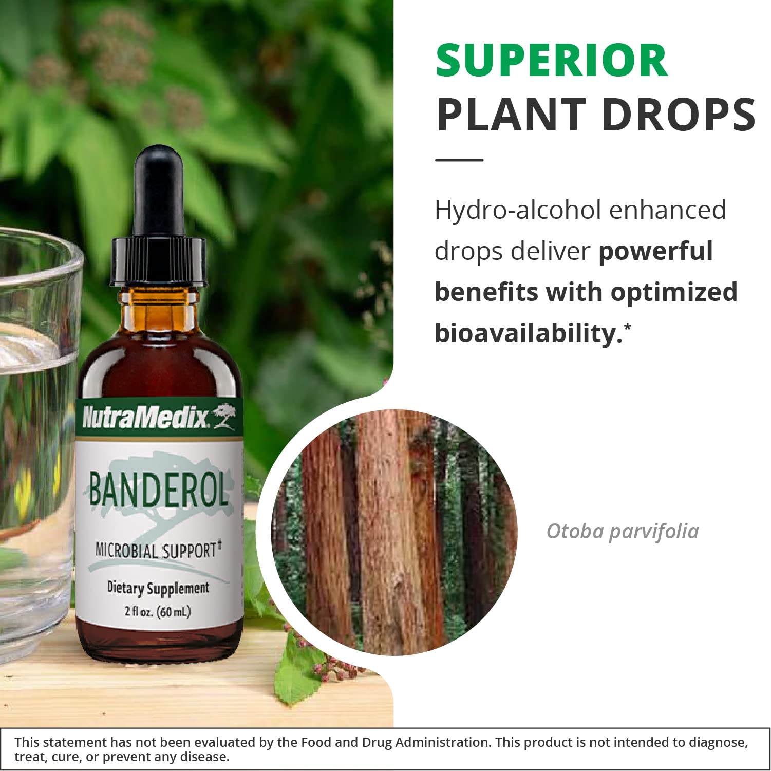 NutraMedix Banderol Liquid Tincture in a glass of water