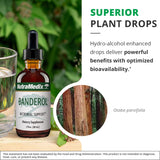NutraMedix Banderol Liquid Tincture in a glass of water