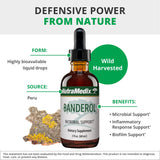 NutraMedix Banderol Liquid Tincture packaging side view