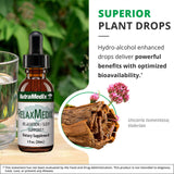 NutraMedix daily wellness Drops in a glass of water