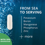 NutraMedix Deep Ocean Trace Minerals 68g back view
