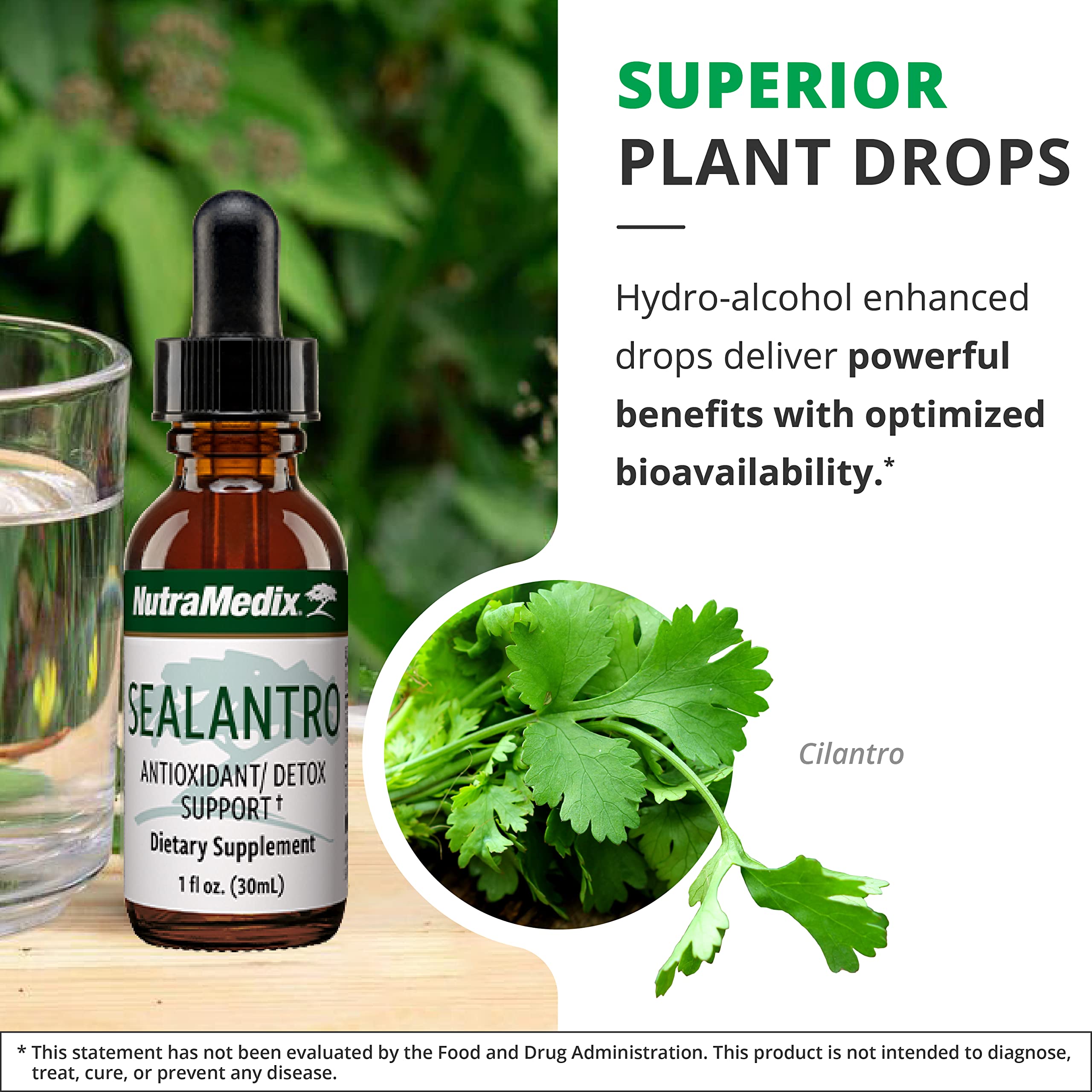 NutraMedix Sealantro Drops 68g ingredients list