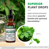 NutraMedix Sealantro Drops 68g ingredients list