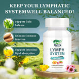 NutraNourish Echinacea Herbal Supplement Capsules packaging