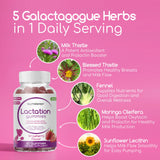 NutraPep Lactation Support Gummies close-up