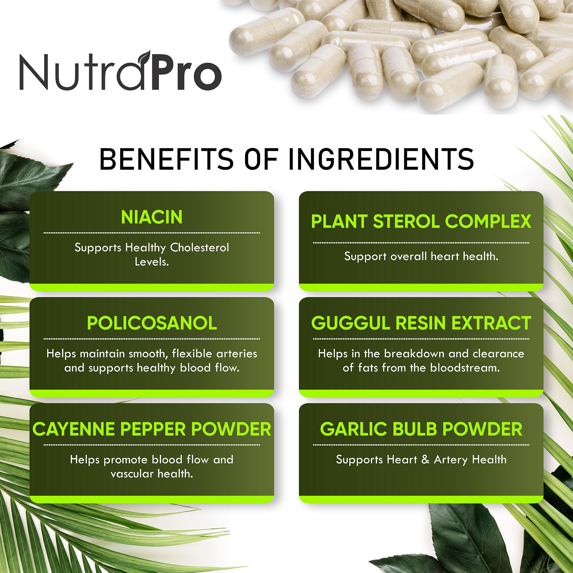 NutraPro Cholesterol Support Capsules close-up of capsules