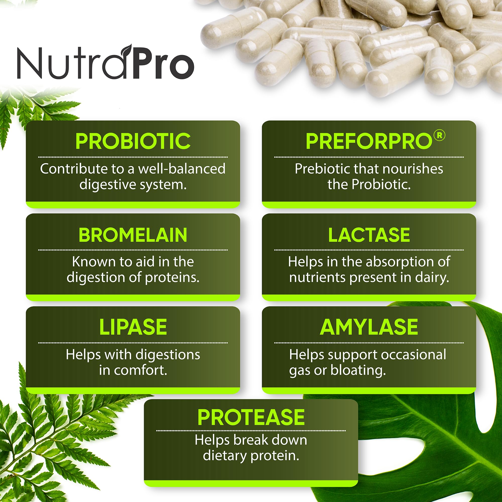NutraPro Multi-Enzymes 50g displayed with other health supplements