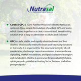 Nutrasal L-Alpha Glycerophosphocholine 60mL on a wooden table