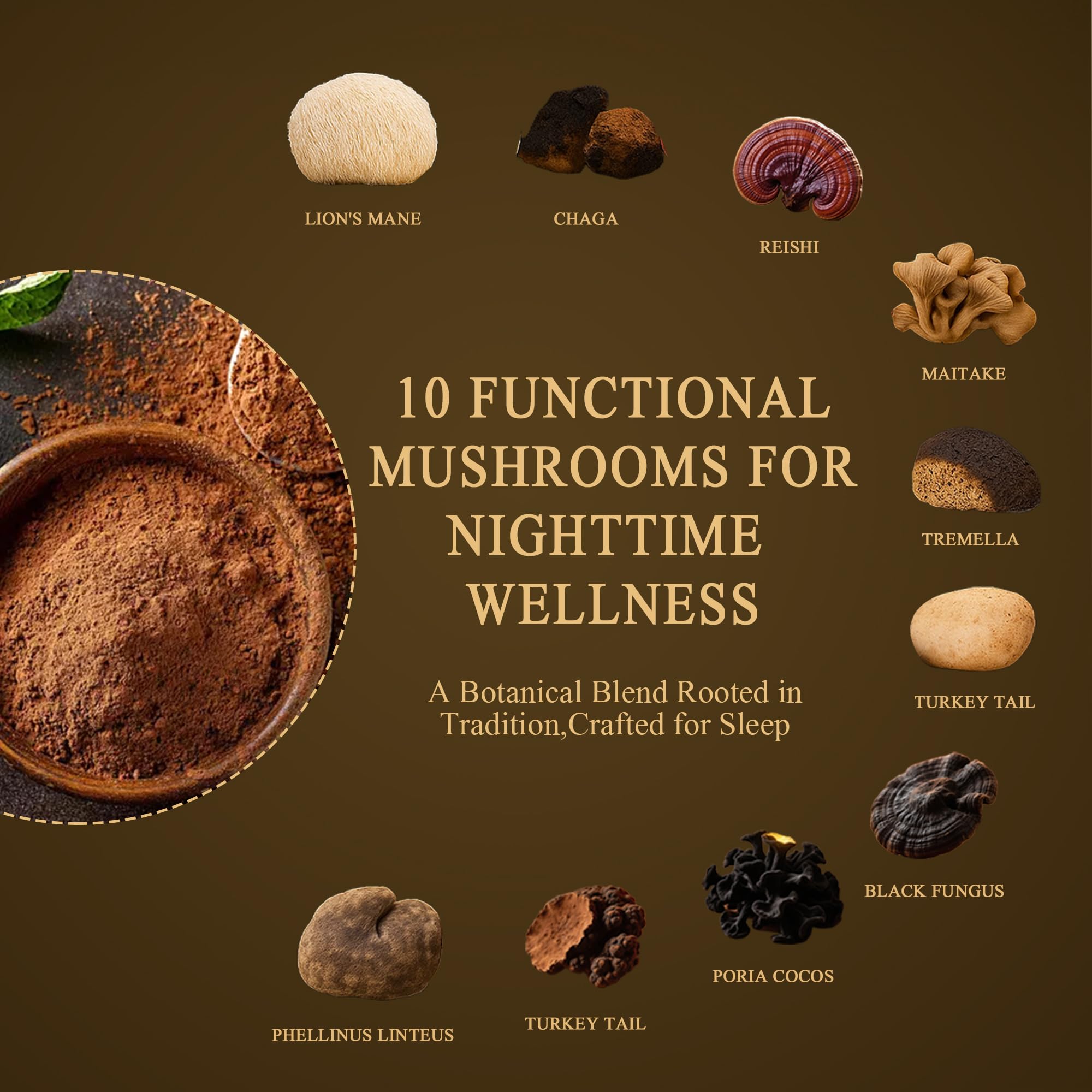 NUTRATASTE Mushroom Hot Cocoa 241g powder close-up