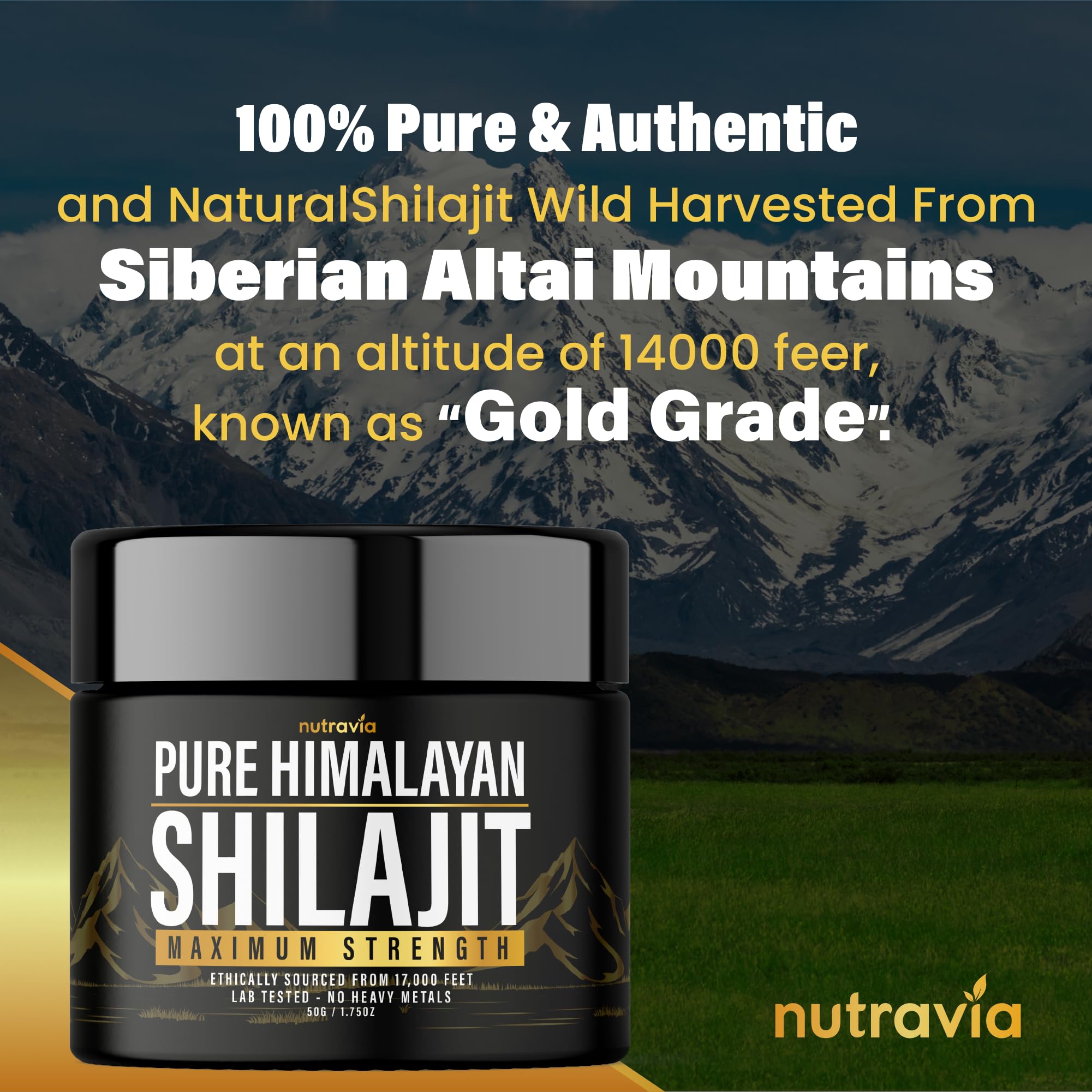 Nutravia Himalayan Shilajit Resin in a glass jar