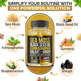 Nutravia Sea Moss Gummies 170g lifestyle scene with healthy snacks