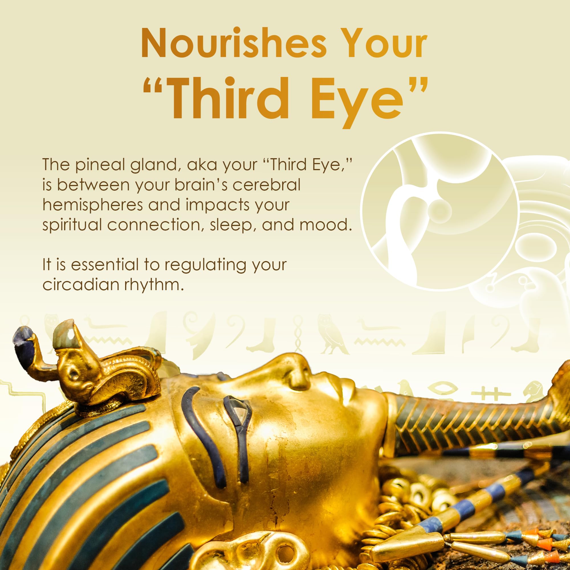Nutraville Pharaoh’s Nectar XT Colloidal Gold 120g liquid close-up