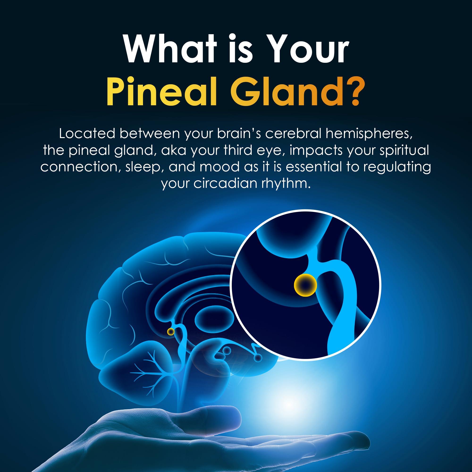 Nutraville Pineal Guard X Drops bottle on a wooden table
