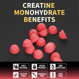 Nutravita Creatine Monohydrate Gummies with a measuring spoon