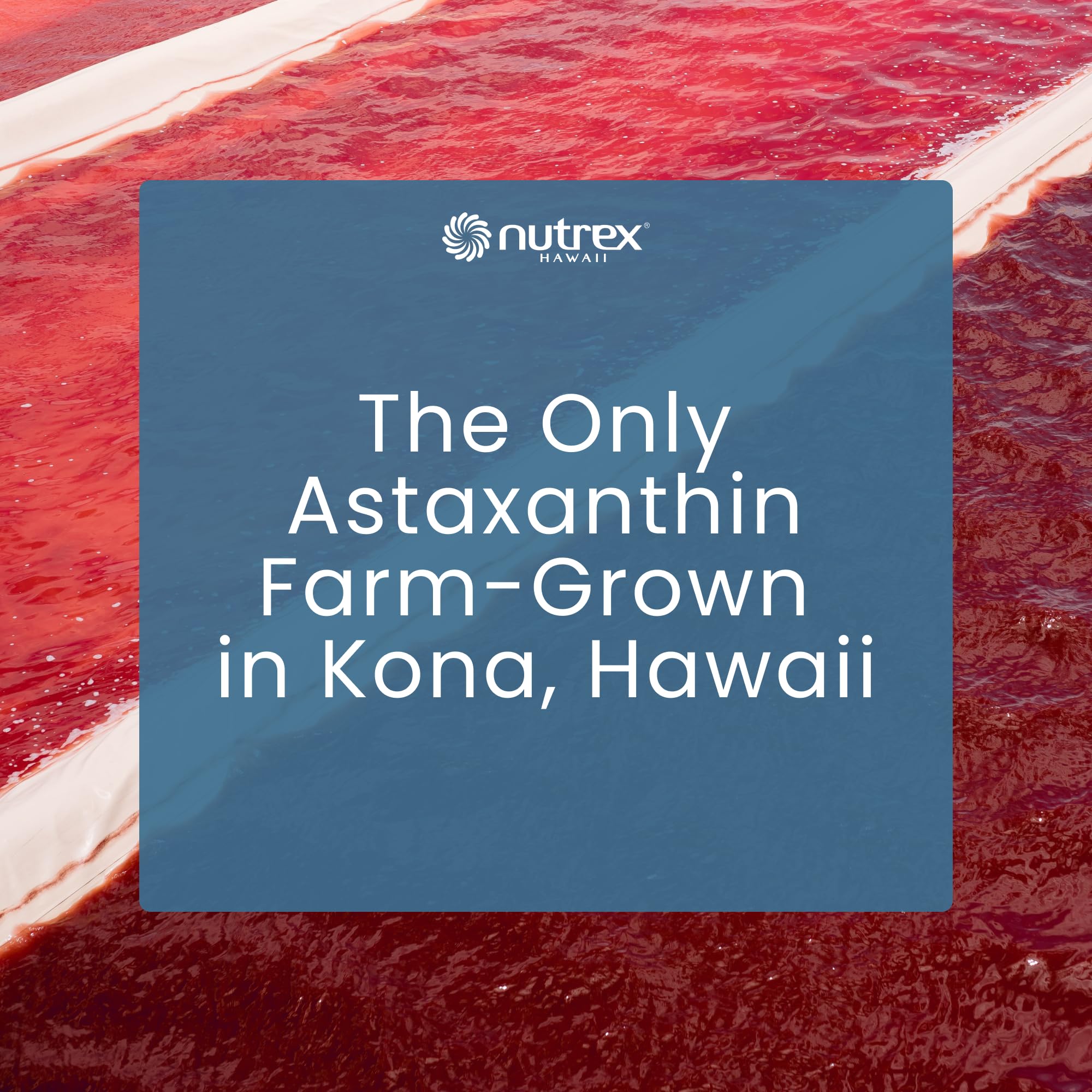 Nutrex Hawaii Astaxanthin supplement capsules on a natural stone surface
