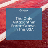 Nutrex Hawaii BioAstin Astaxanthin with natural ingredients