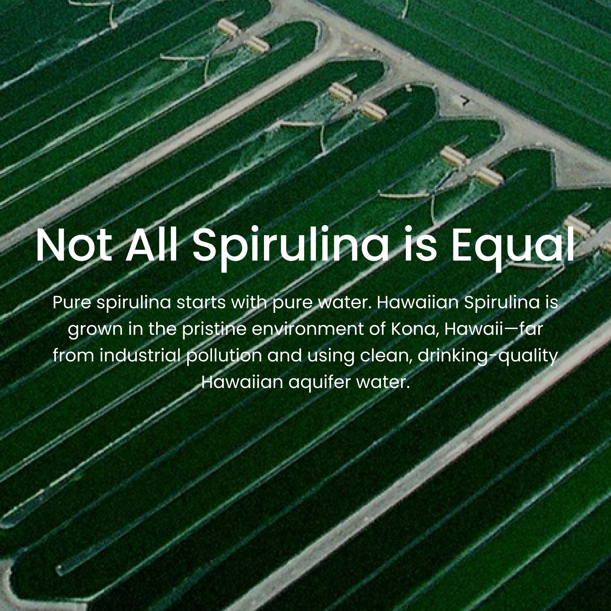 Nutrex Hawaii Spirulina Powder with fresh fruits