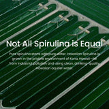 Nutrex Hawaii Spirulina Powder with fresh fruits