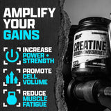 Nutrex Research Creatine Monohydrate 400g powder packaging