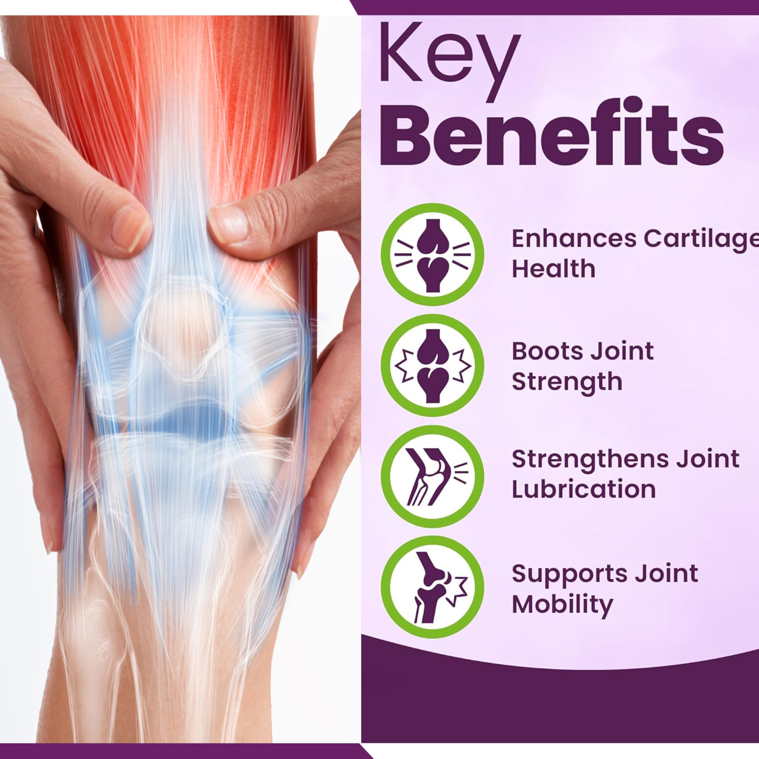NUTRI-NEXUS Ultra Joint Flex supplement ingredients list