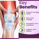 NUTRI-NEXUS Ultra Joint Flex supplement ingredients list