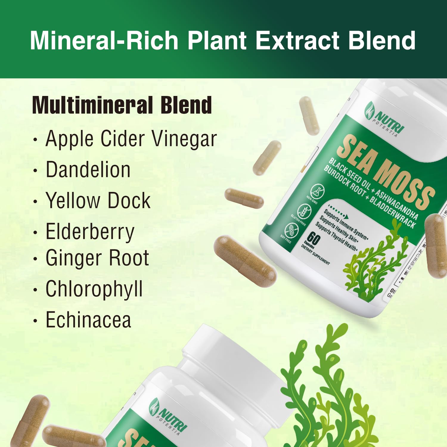 NUTRI POTENTIA Sea Moss Capsules displayed with a measuring spoon