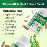 NUTRI POTENTIA Sea Moss Capsules displayed with a measuring spoon