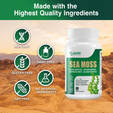 NUTRI POTENTIA Sea Moss Capsules with a background of natural herbs