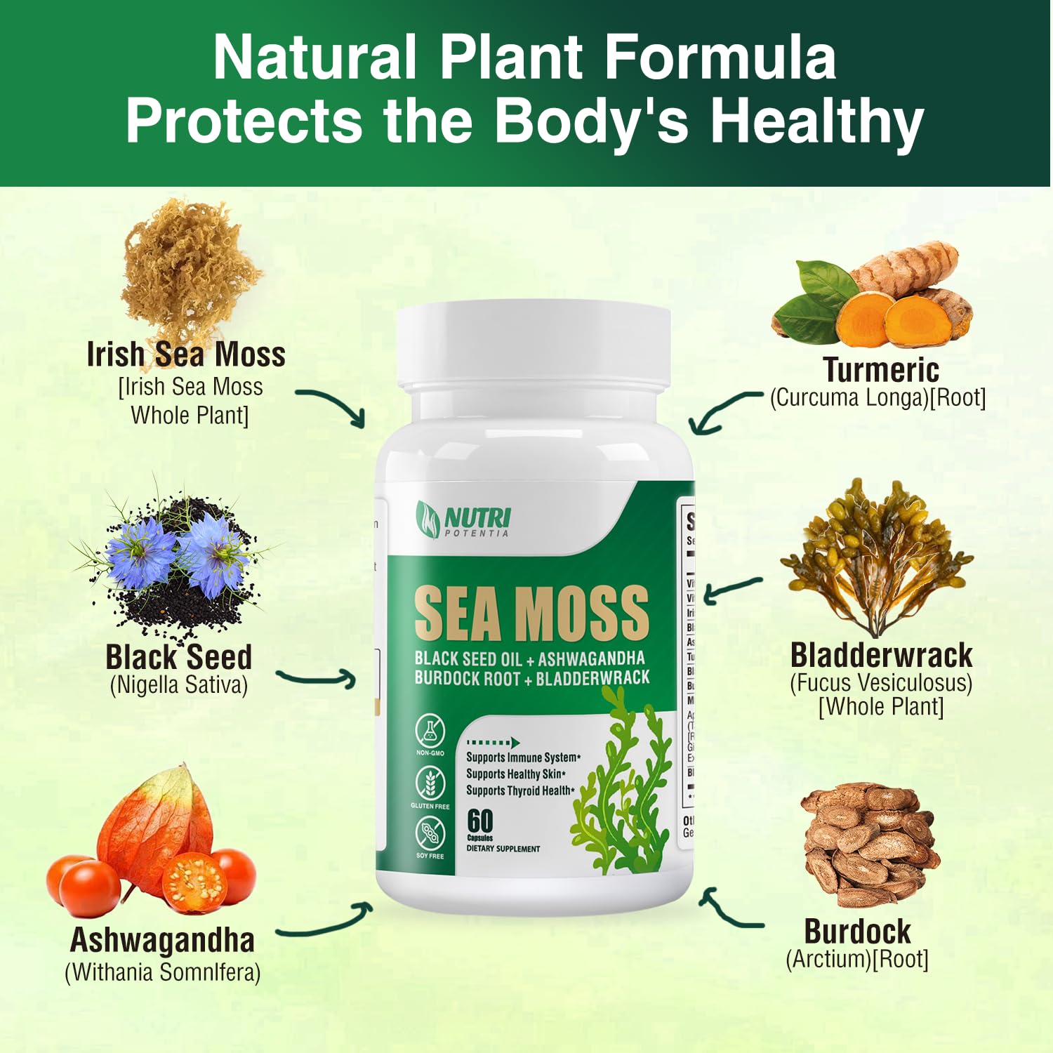 NUTRI POTENTIA Sea Moss Capsules with turmeric and black seed ingredients