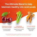 Nutriana Uric Acid Support Supplement ingredients close-up