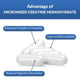 Nutribota Creatine Monohydrate Capsules 5000mg on a gym bench