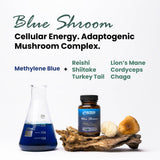 Nutricel Blue Shroom capsules showing the vegetarian plant-based capsule