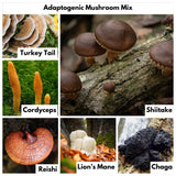 Nutricel Blue Shroom ingredients list on the packaging