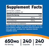 Nutricost Choline Bitartrate 650mg capsule close-up