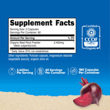 Nutricost Organic Beet Root Capsules 2400mg back view