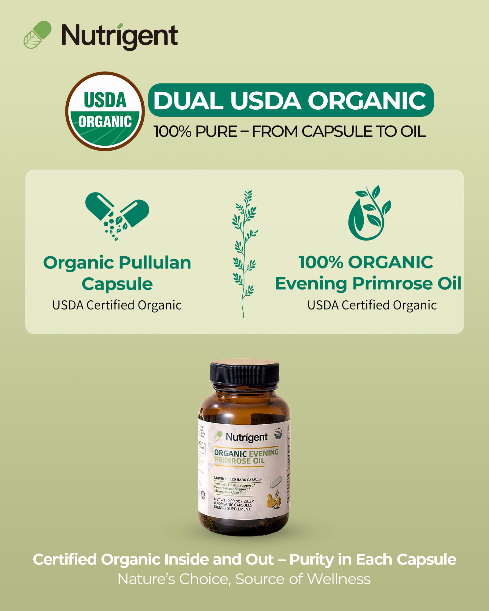 Nutrigent Evening Primrose Oil Capsules back view with ingredient list