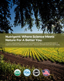 Nutrigent Organic Hemp Seed Oil Capsules in hand