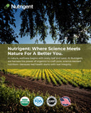 Nutrigent Organic Soy Lecithin Liquid Capsules in a glass of water
