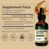 NutriMuse Echinacea Lymphatic Support Drops bottle with label