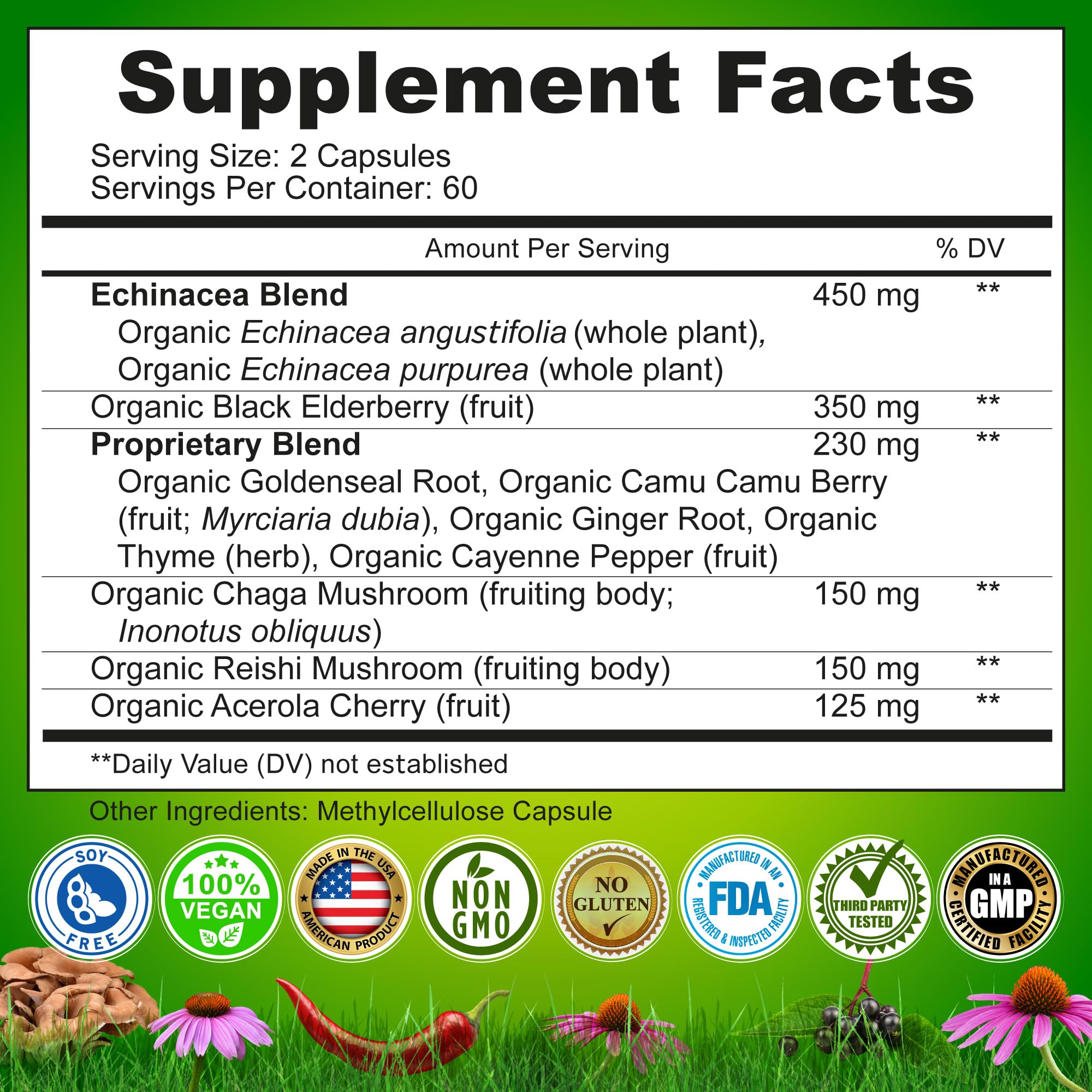 Nutrition Restore Echinacea Complex Capsules 450mg with ingredients list