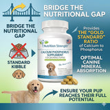 Nutrition Strength Calcium & Phosphorus Chewables on a table