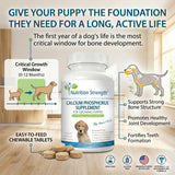 Nutrition Strength Calcium & Phosphorus Chewables packaging