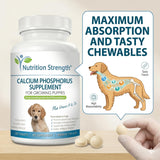 Nutrition Strength Calcium & Phosphorus Chewables with a puppy